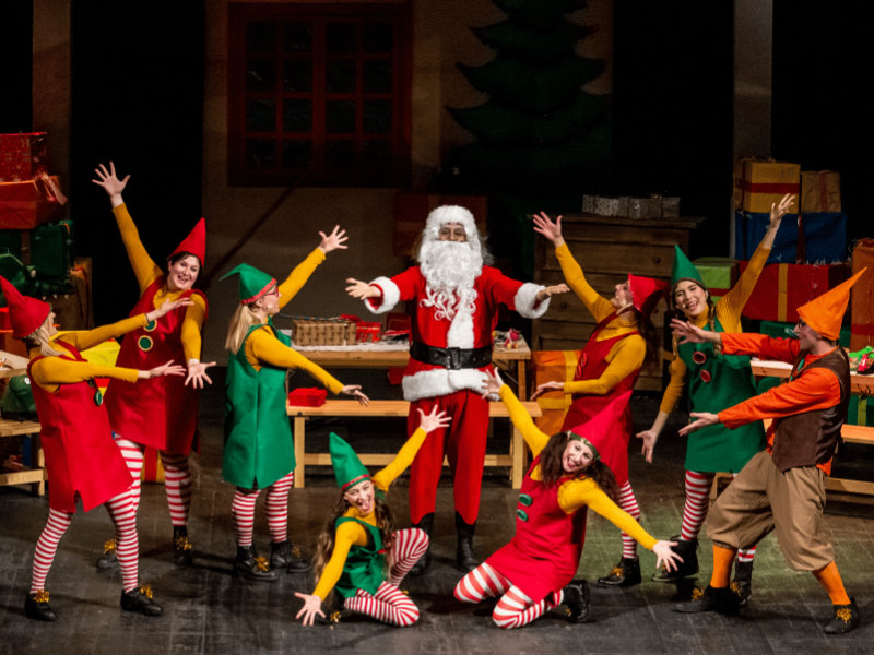 Gli elfi di Babbo Natale_IN
